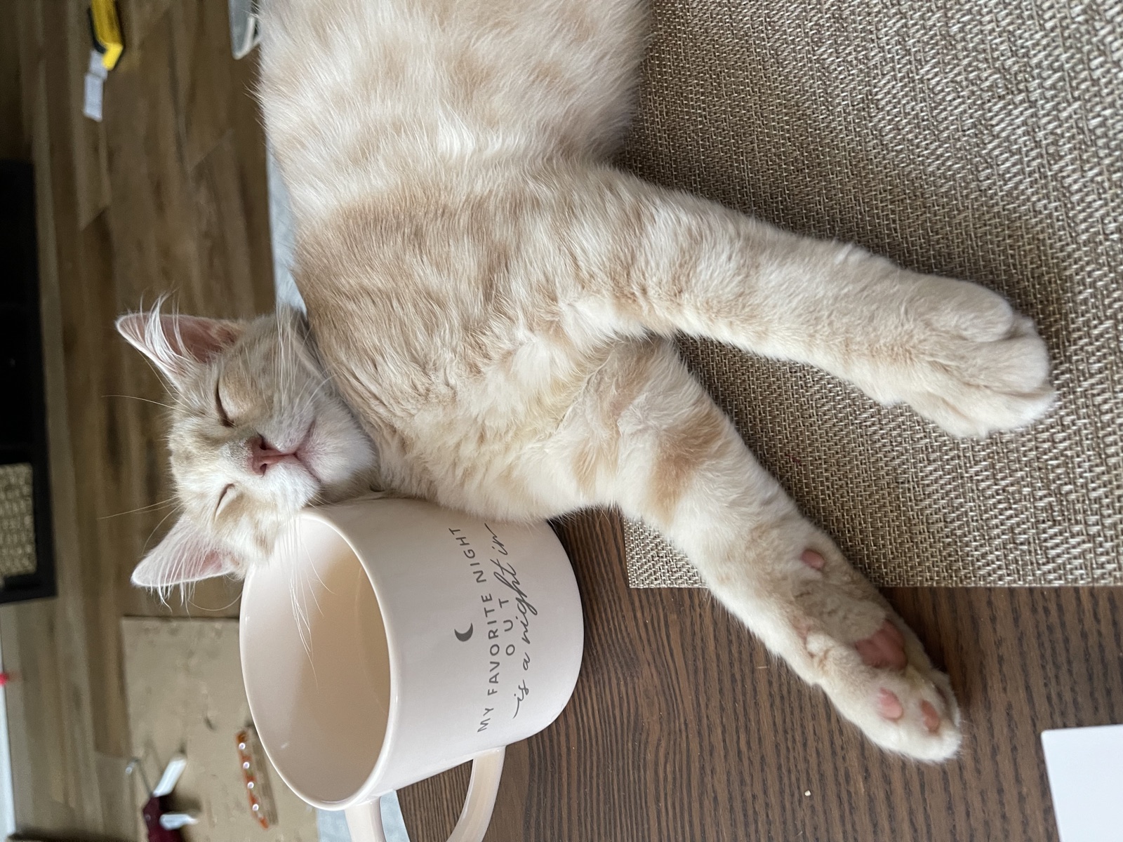 Kitten Rufus stretched out next to a coffee mug for scale