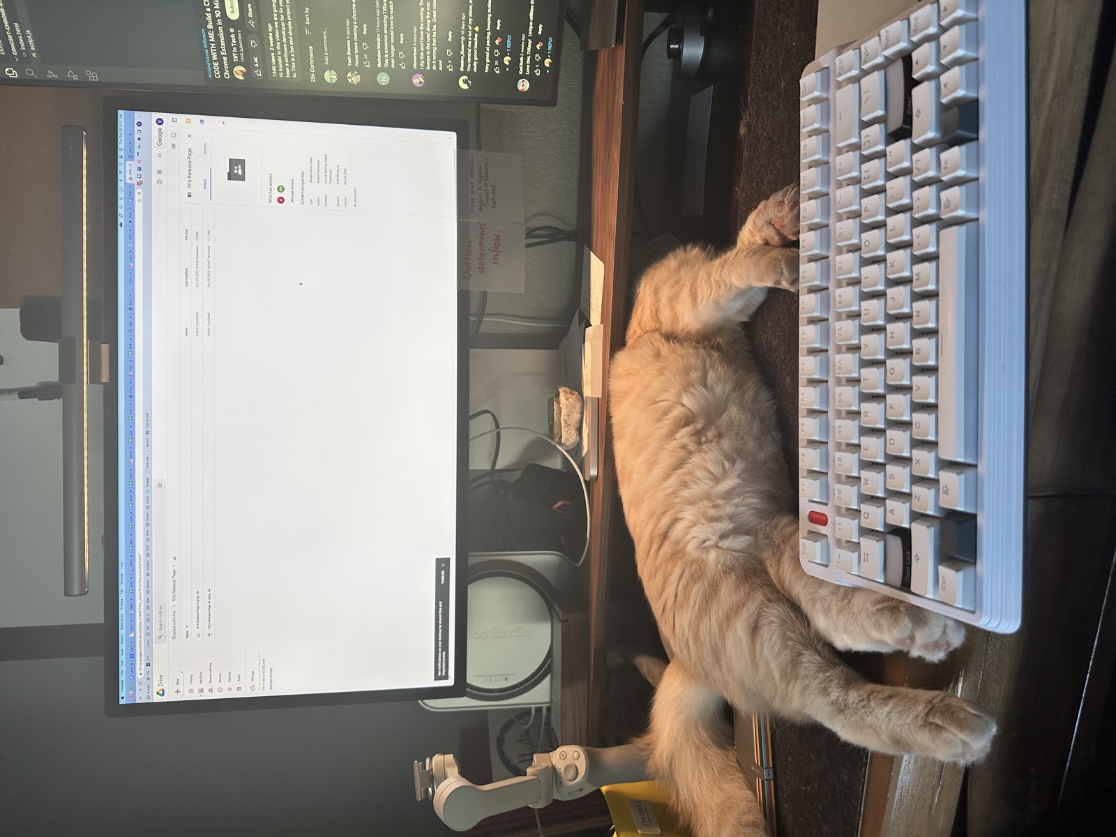 Kitten Rufus asleep on a desk in front of a keyboard and monitor